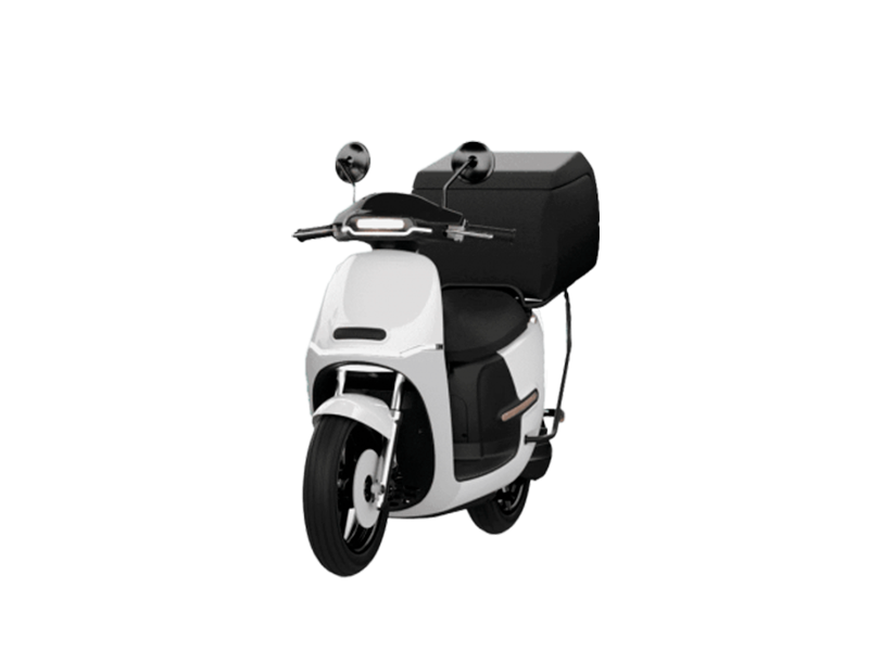 Motos HORWIN DS1+ 2800W