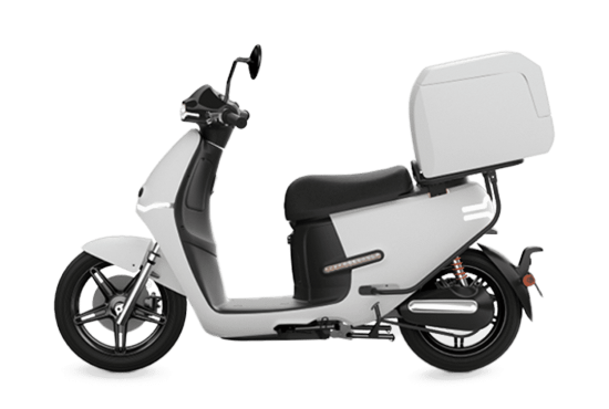 Motos HORWIN DS1+ 2800W