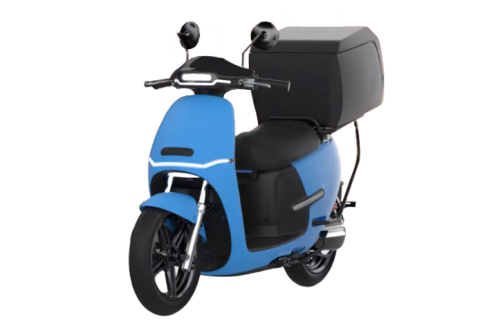 Motos HORWIN DS1+ 2800W