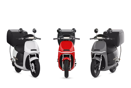 Motos HORWIN DS3+ 6200W
